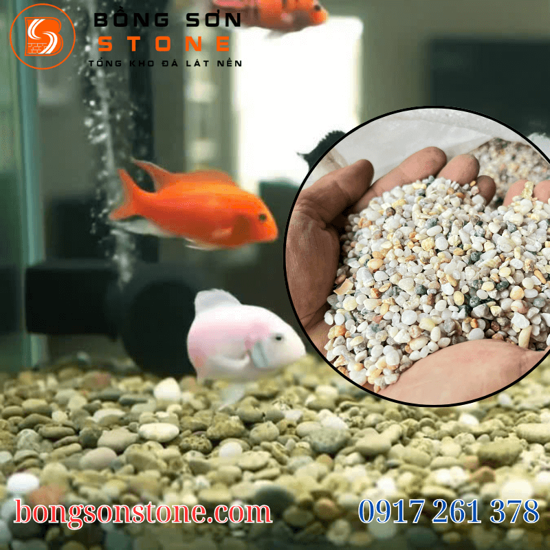Đá sỏi trang trí hồ cá – Bí quyết tạo không gian sống động 4 Sỏi biển đa sắc trang trí hồ cá