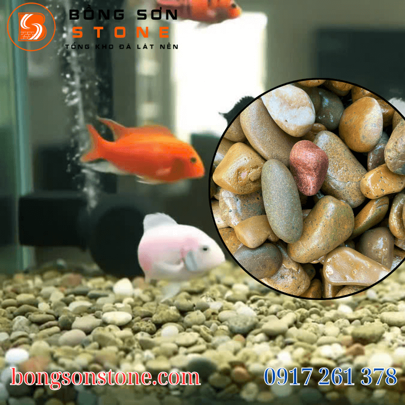 Đá sỏi trang trí hồ cá – Bí quyết tạo không gian sống động 5 Sỏi vàng trang trí hồ cá