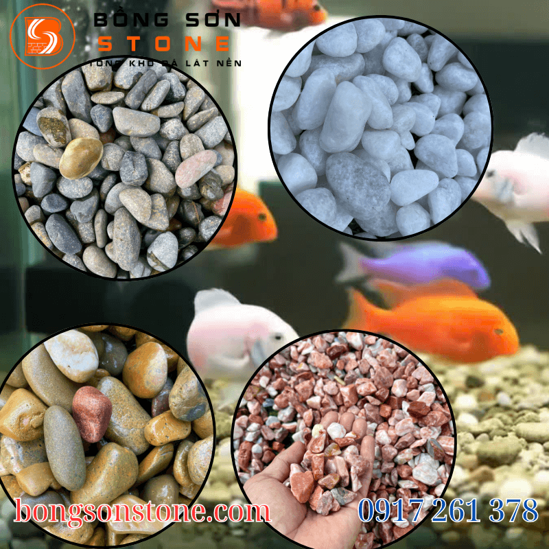 Đá sỏi trang trí hồ cá – Bí quyết tạo không gian sống động 6 Bồng Sơn Stone cung cấp đá sỏi trang trí hồ cá