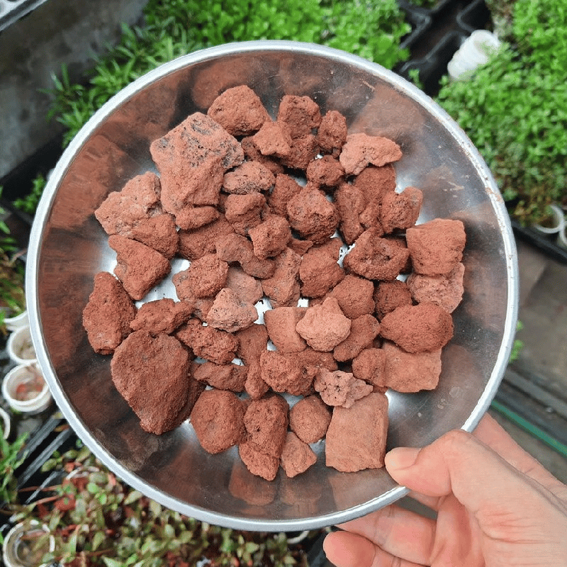 Đá nham thạch đỏ lọc nước, rải sân vườn, tiểu cảnh 3 Đá nham thạch đỏ, hay còn gọi là đá lava đỏ, được hình thành từ dung nham núi lửa nguội lạnh, tạo nên cấu trúc xốp rỗng đặc trưng