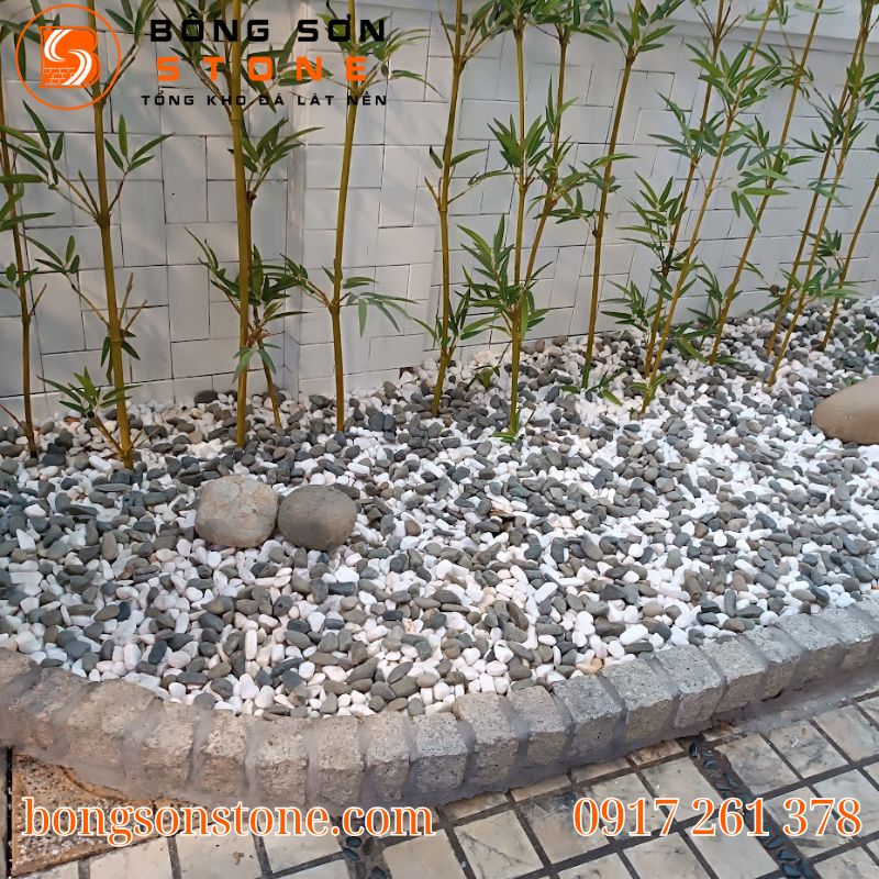 Địa chỉ bán sỏi tự nhiên TP HCM uy tín, giá tốt, giao nhanh trong ngày 3 ban soi tu nhien tphcm 3