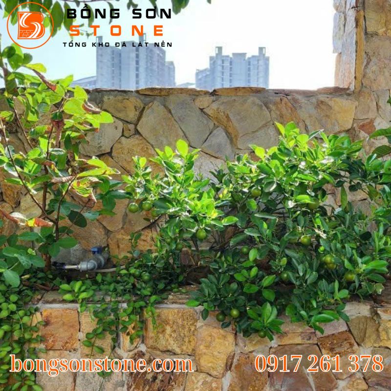 da roi vang op tuong 2