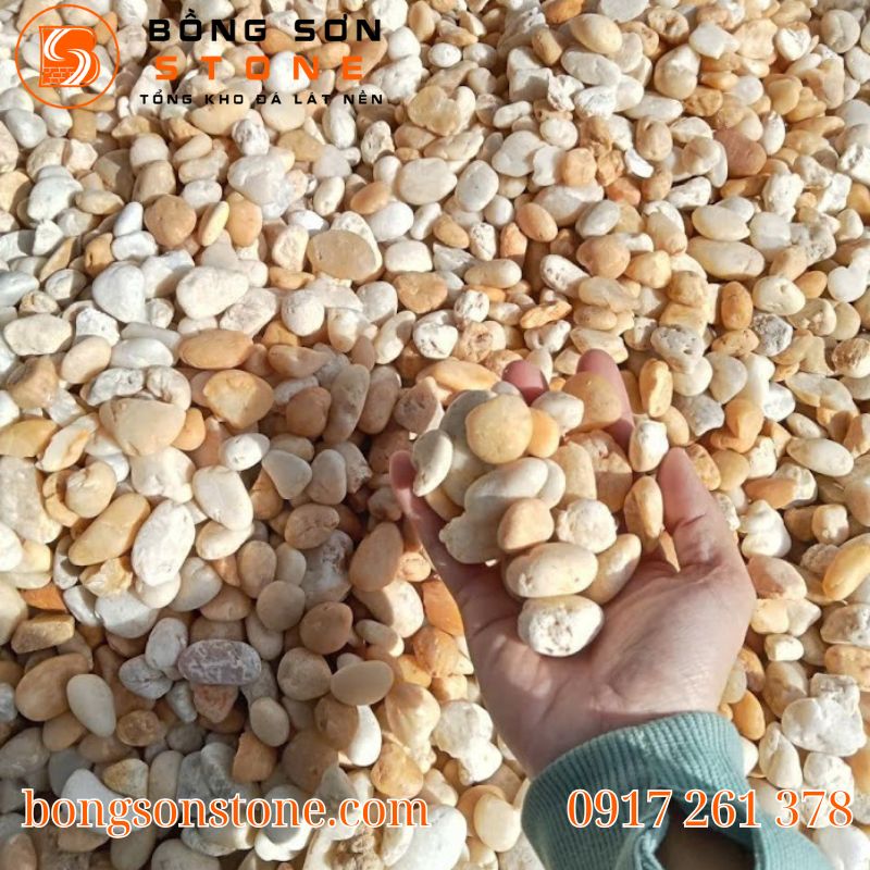 Sỏi biển tự nhiên là gì? Ưu điểm & lý do được ưa chuộng trong sân vườn – hồ cá 6 soi bien tu nhien 1