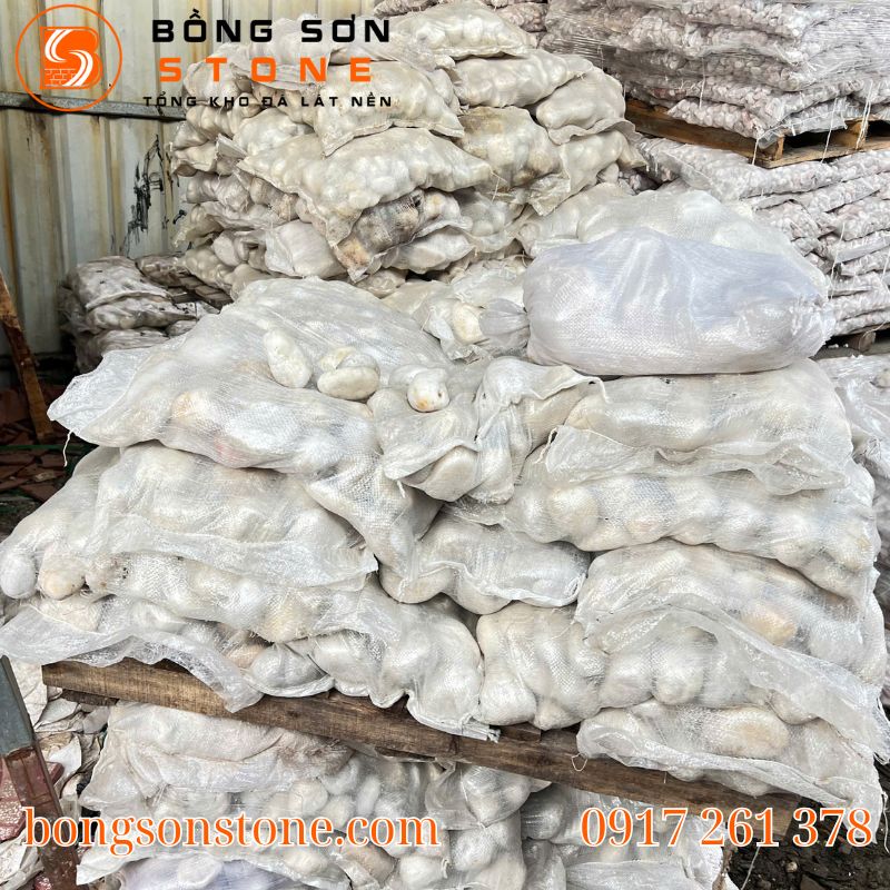 Sỏi biển tự nhiên là gì? Ưu điểm & lý do được ưa chuộng trong sân vườn – hồ cá 4 soi bien tu nhien 2