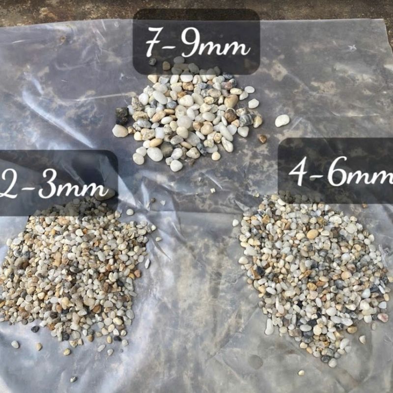 Đá sỏi được ứng dụng trong trang trí sân vườn