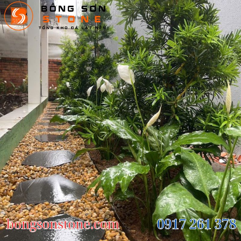 Top các loại sỏi rải chậu cây được ưa chuộng nhất hiện nay 6 soi rai chau cay 1