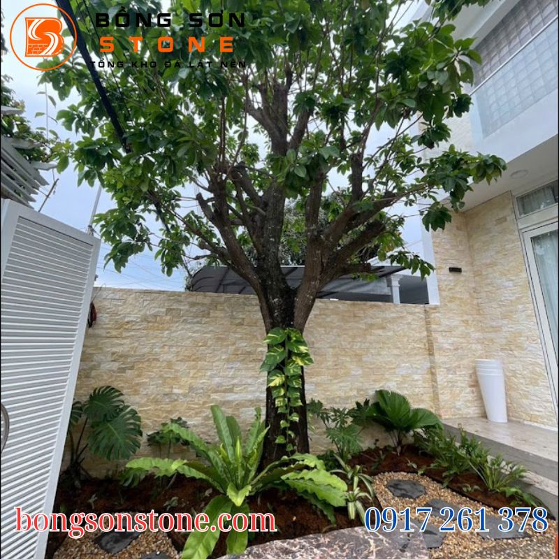 Top các loại sỏi rải chậu cây được ưa chuộng nhất hiện nay 5 soi rai chau cay 2