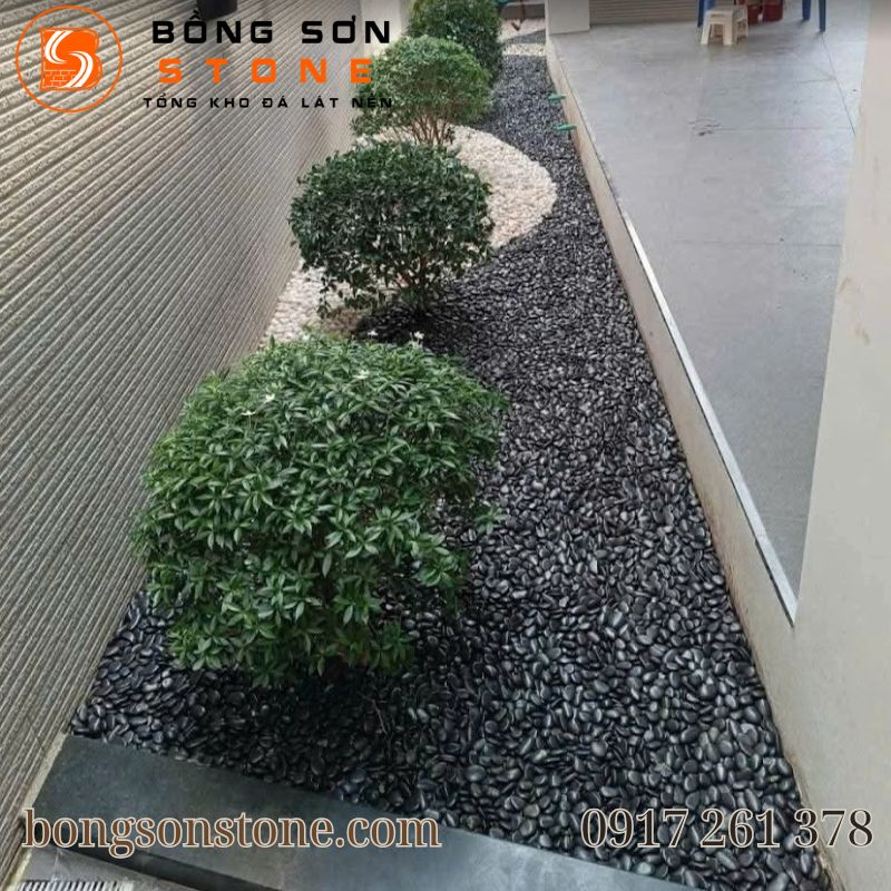 Top các loại sỏi rải chậu cây được ưa chuộng nhất hiện nay 2 soi rai chau cay 4