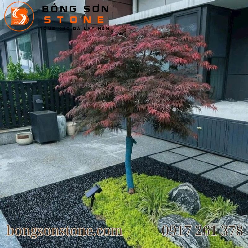 Bồng Sơn Stone - Đơn vị cung cấp đá lát sân vườn biệt thự uy tín và chuyên nghiệp