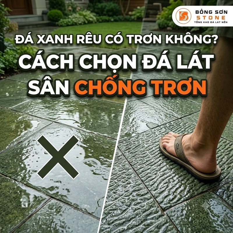 da xanh reu co tron khong 4