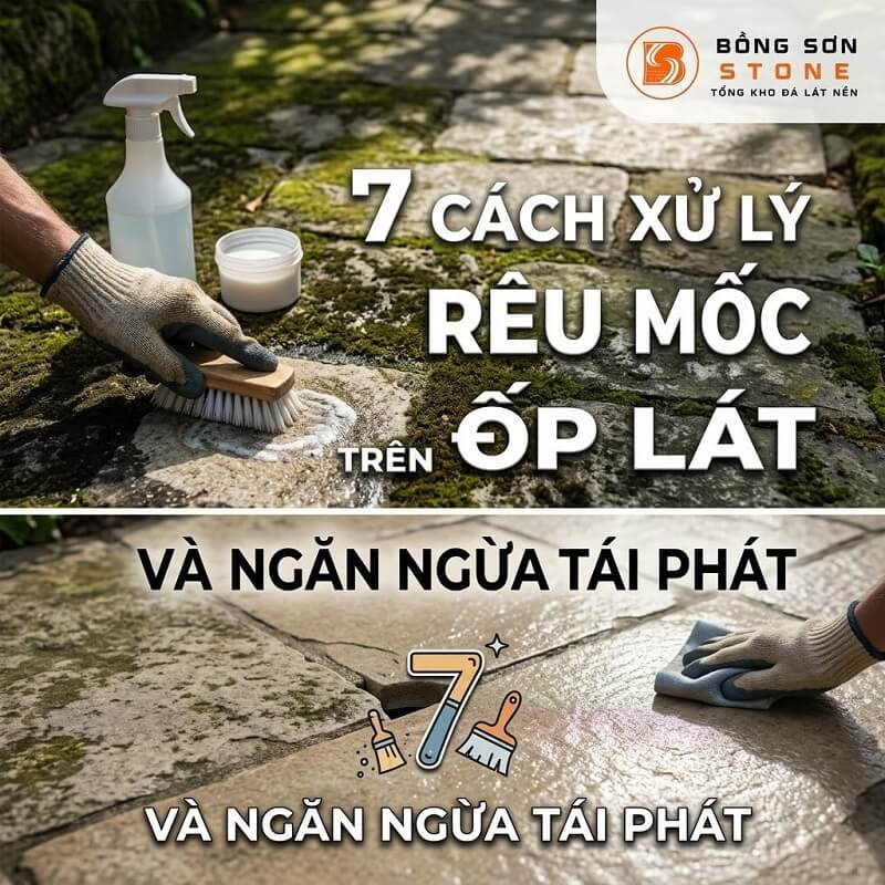 xu ly reu moc tren da op lat 1